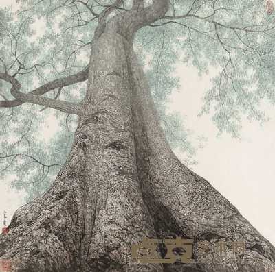 宋涤 大树 镜心 69×69cm